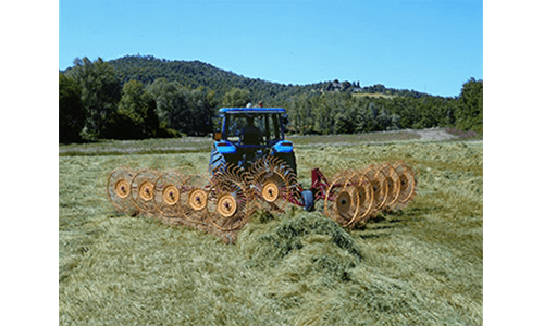 CARTED RAKES